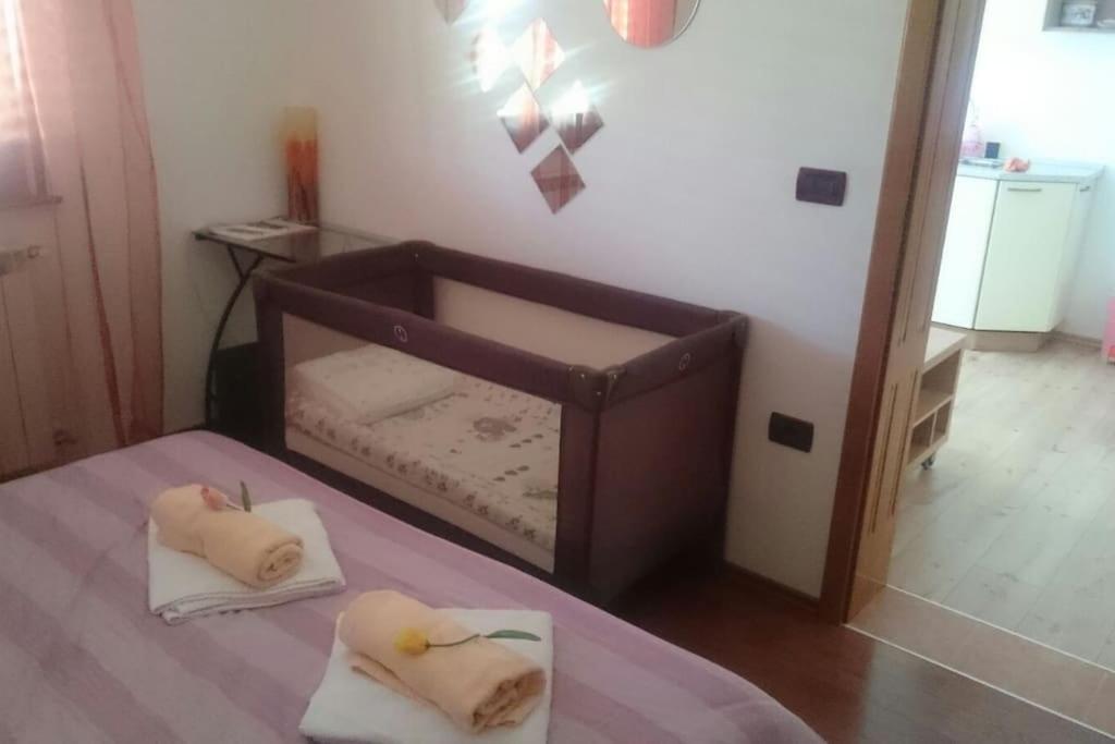 Apartman Cozy And Quiet Kercan With Free Bike Use